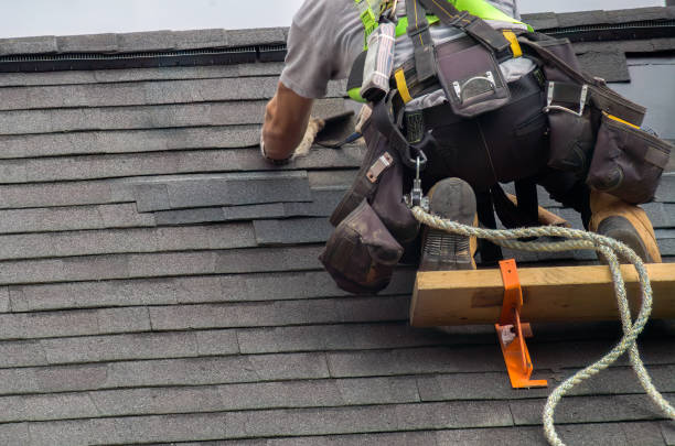 Professional Roofing Contractor in Janesville, IA