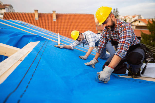 Best Best Roofing Contractors  in Janesville, IA